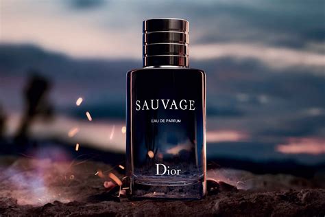 parfum sauvage dior|what does Dior Sauvage smell like.